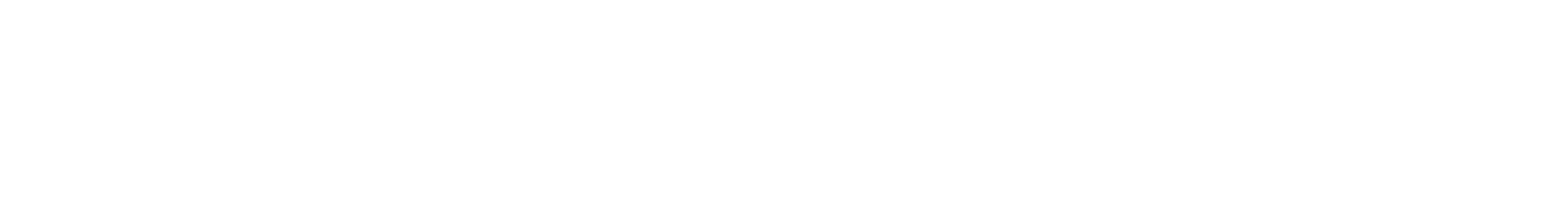 SPOTREP